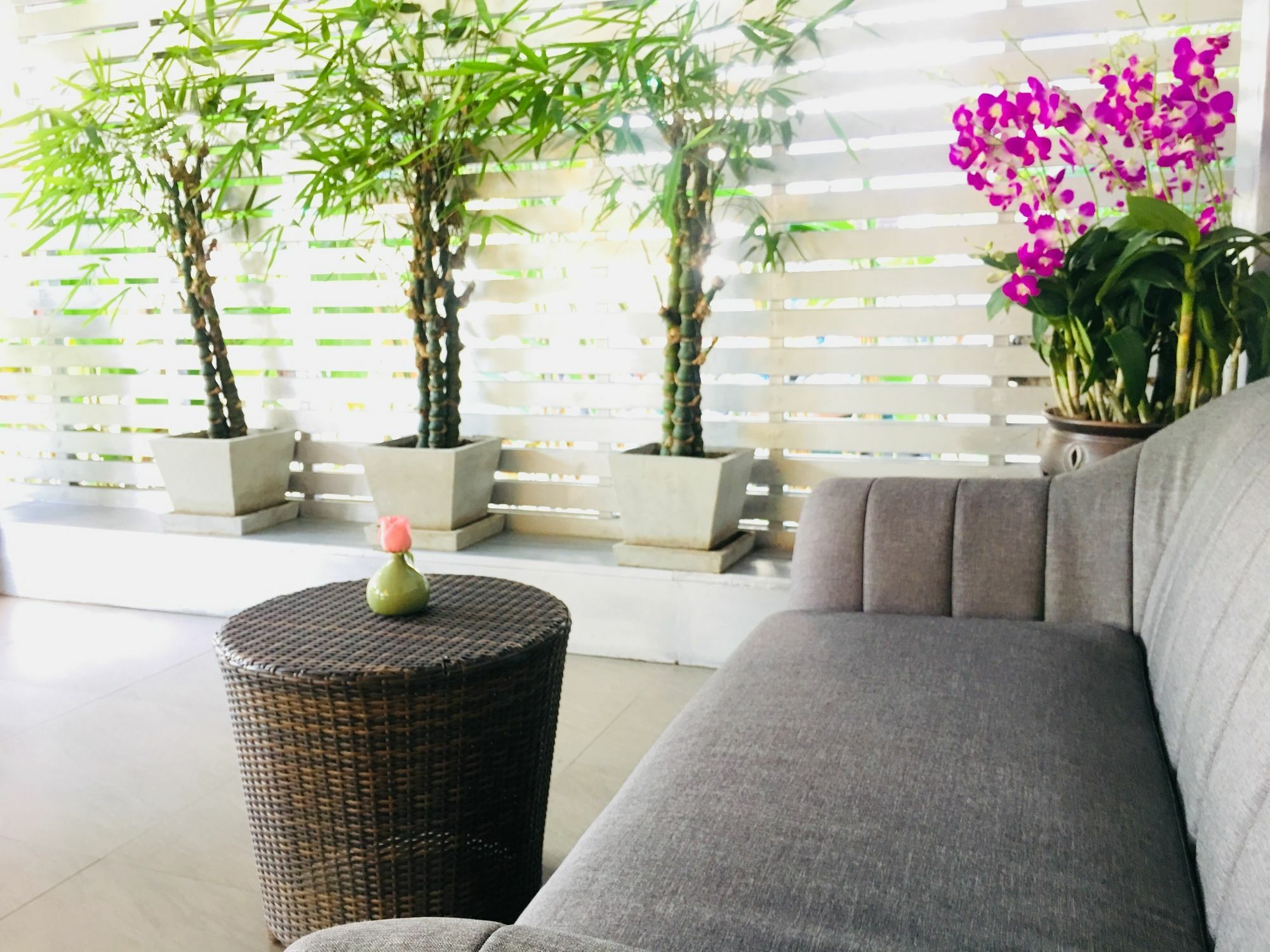 Kavil Guesthouse Chiang Mai Luaran gambar